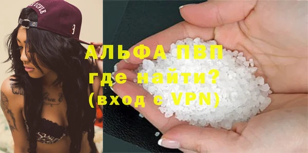 стафф Алексин