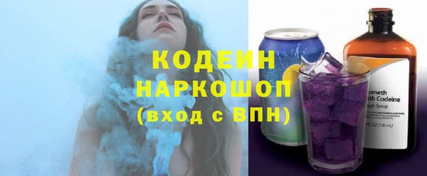 бошки Пересвет