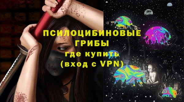 стафф Алексин