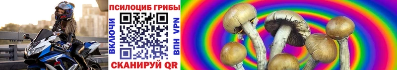 где купить   Похвистнево  Галлюциногенные грибы мухоморы 